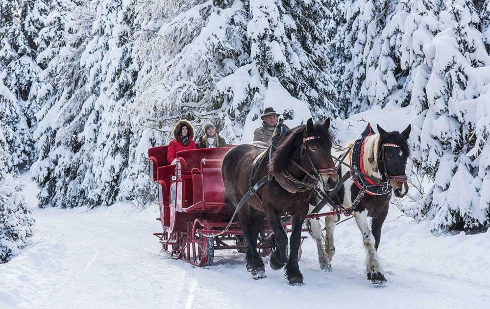 Das Penthaus Katschberg Katschberghöhe Eksteriør billede
